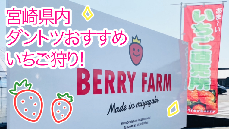 Berry Farm 宮崎でjas有機認証農園のいちご狩り ママンマルシェ高鍋 子供と美味しい 宮崎